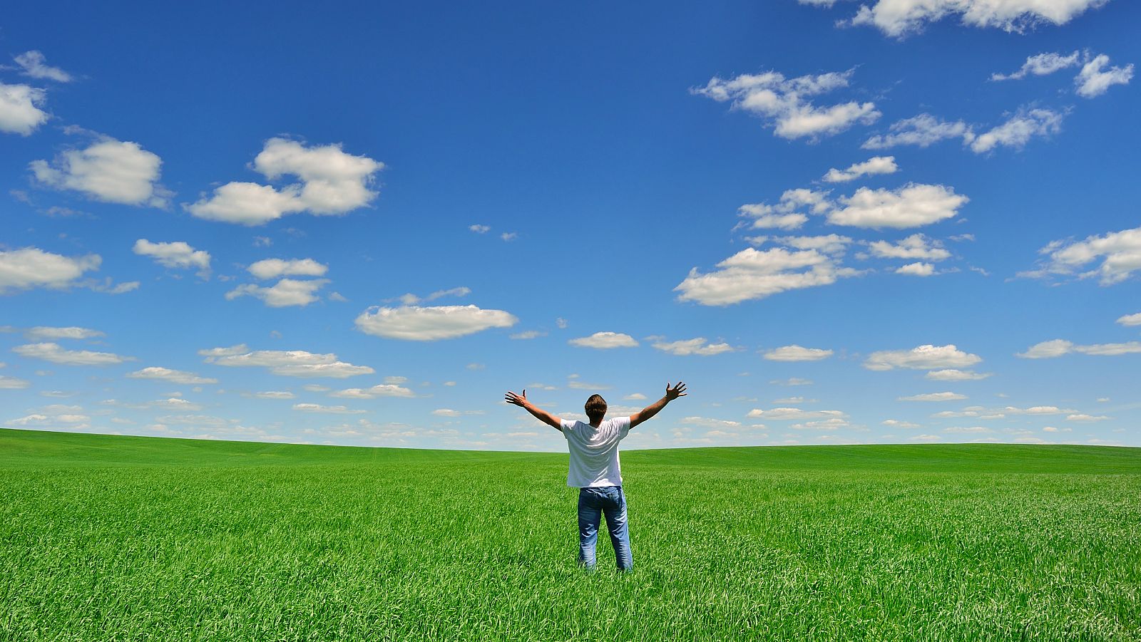 El canto del grillo - Cómo ser multimillonario - Escuchar ahora