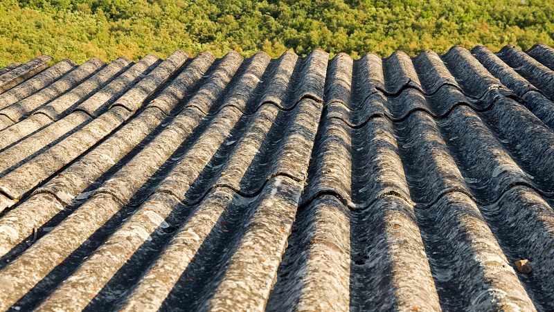 Organizaciones sociales, sindicales, políticas y médicas alertan de los peligros del amianto - Escuchar ahora