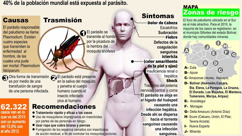  Radio 5 Actualidad - Más cerca de la erradicación de la malaria - Escuchar ahora