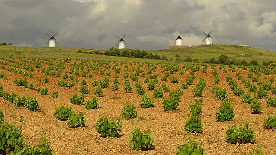 El verano en Radio 5