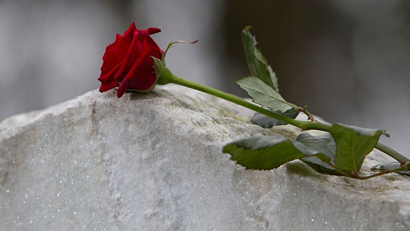 El canto del grillo - En voz alta - Superar el duelo - Escuchar ahora