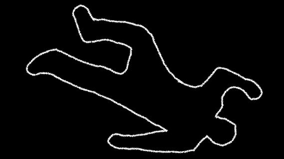 Investigación y criminología