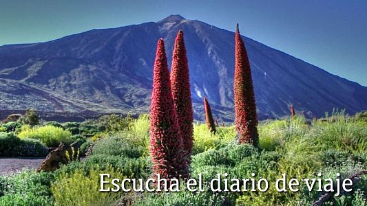  - Escucha el relato de Fernando Salgado | Escuchar