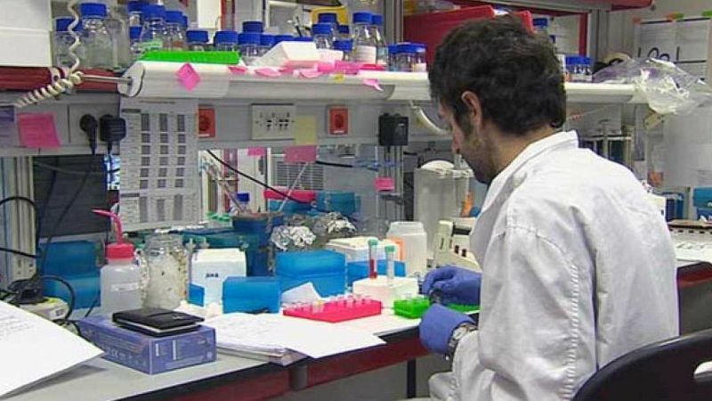 Radio 5 Actualidad - CNIO descubre un gen que explicaría la incidencia del cáncer en algunas familias - Escuchar ahora