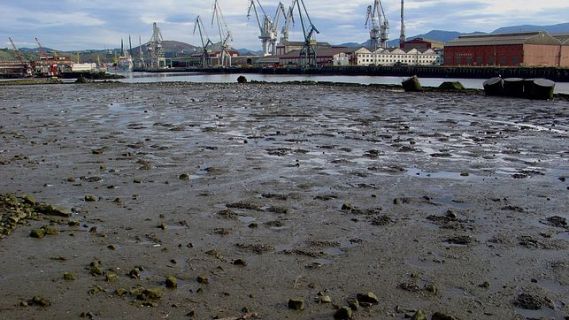 Españoles en la mar