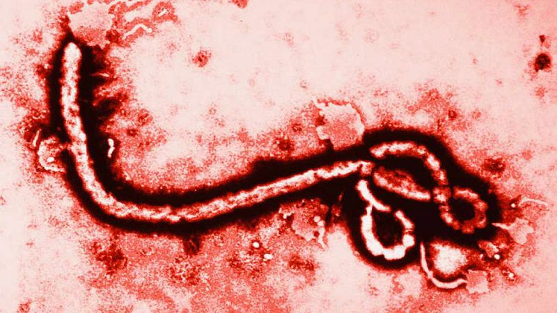 Entre paréntesis - Guinea, Liberia y Sierra Leona superan su primera semana sin ébola - Escuchar ahora