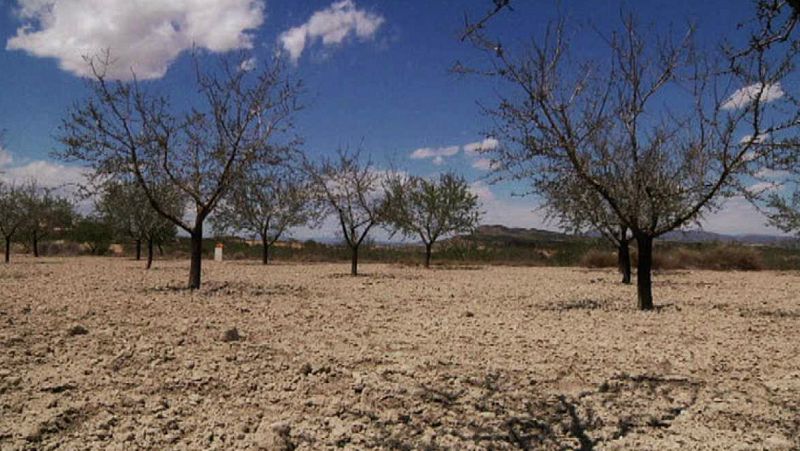 Radio 5 Actualidad - El precio del agua desalada, a la mitad para hacer frente a la sequía de la cuenca del Segura - Escuchar ahora