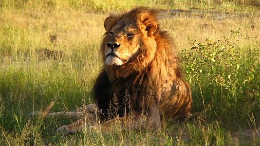 Nómadas - Nómadas - Zimbabue, el rugido de África - 12/08/18 - escuchar ahora