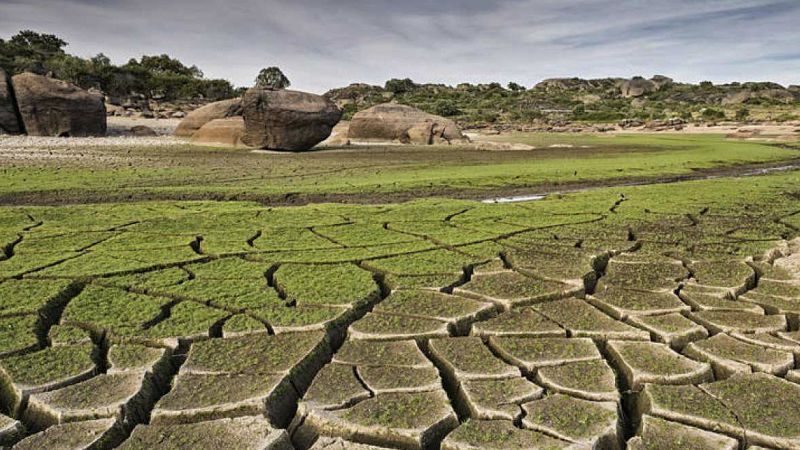 Boletines RNE - Varios países dicen que no van a poder cumplir los objetivos de la Cumbre del Clima - Escuchar ahora