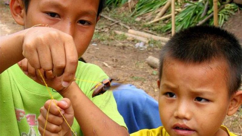 Entre paréntesis - 'Aquí estoy. Aquí pertenezco', una iniciativa para acabar con la apatridia infantil - Escuchar ahora