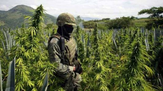 Hora América - América hoy - México abre la puerta a la legalización de la marihuana- 05/11/15 - escuchar ahora