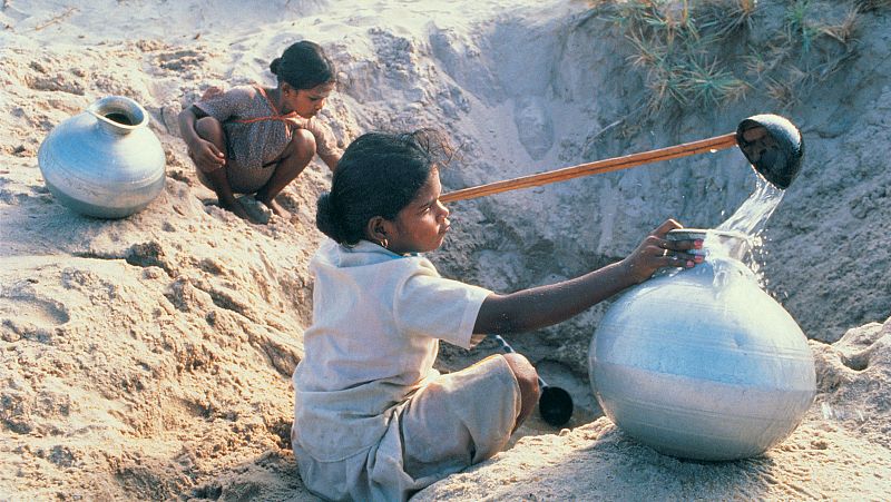 Entre paréntesis - El Banco Mundial pide medidas urgentes para limitar el impacto del calentamiento global en la cumbre del clima de París - Escuchar ahora