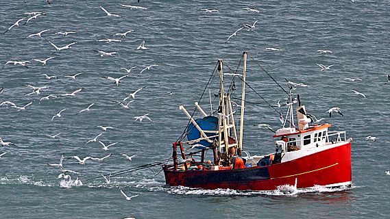 Españoles en la mar