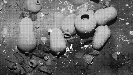 Kilómetros de radio