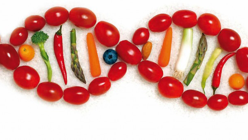 España vuelta y vuelta - La nutrigenómica o cómo responden nuestros genes a lo que comemos - Escuchar ahora 