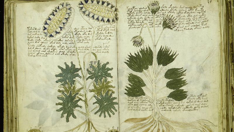 Esto me suena. Las tardes del Ciudadano García - 'El manuscrito Voynich', un libro indescifrable - Escuchar ahora