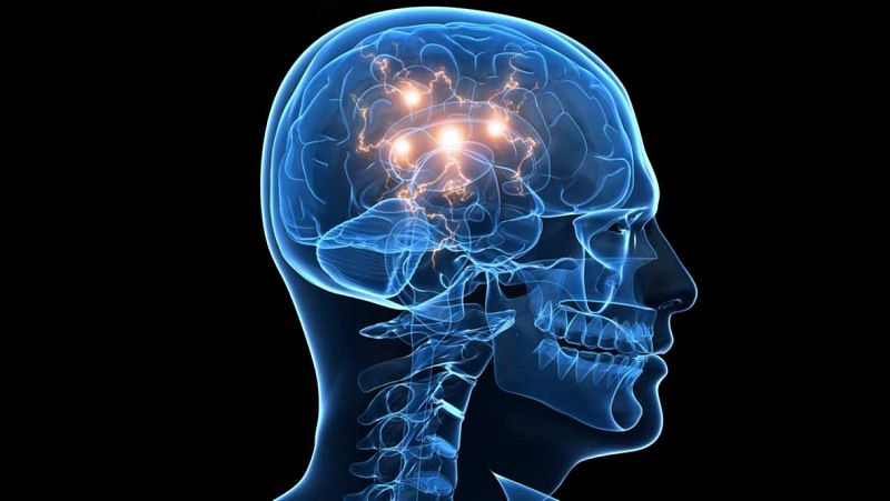 InquietaMENTE - Evolución de la cara ligada al cerebro - Escuchar ahora