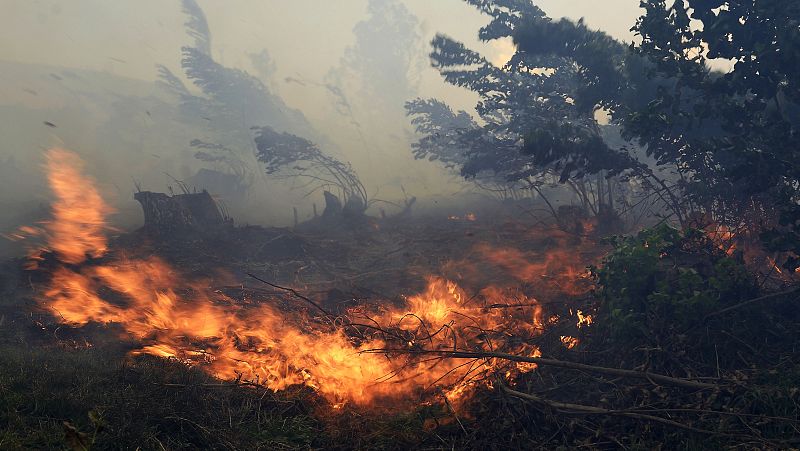 España vuelta y vuelta - Preocupación por el aumento de los incendios forestales - Escuchar ahora