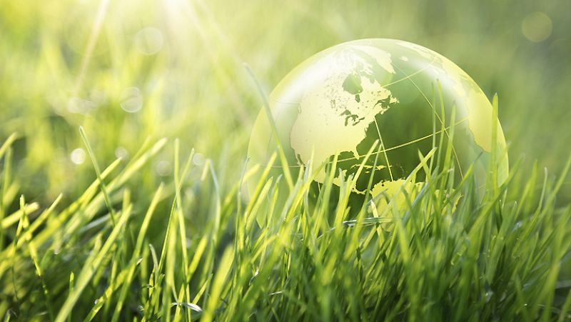 Entre paréntesis - Día Mundial de la Educación Ambiental - Escuchar ahora