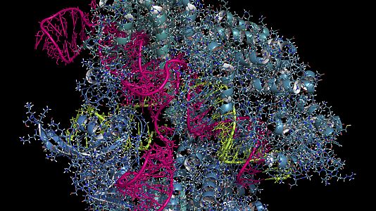 El laboratorio de JAL - El laboratorio de JAL - El descubridor español del CRISPR - 15/02/16 - Escuchar ahora