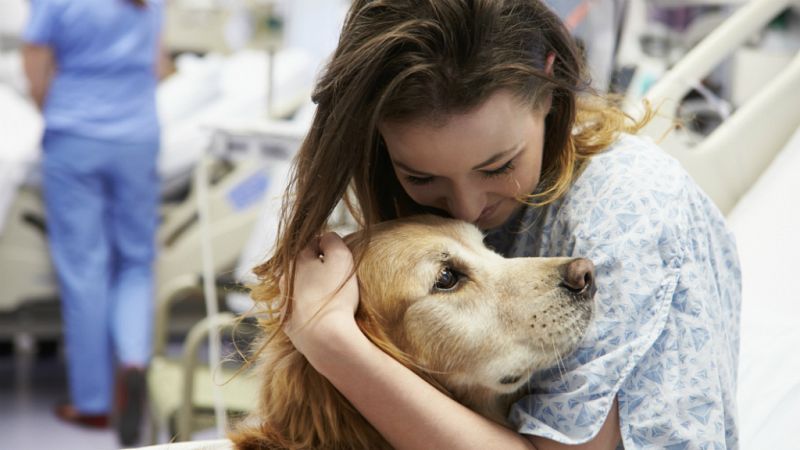 Entre paréntesis - Los beneficios de la terapia asistida con animales - Escuchar ahora