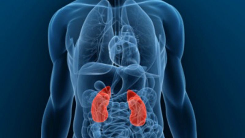 Radio 5 Actualidad - 10 de marzo, Día Mundial del Riñón - Escuchar ahora