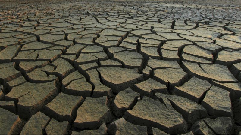 Entre paréntesis - Etiopía sufre su peor sequía desde 1984 - Escuchar ahora