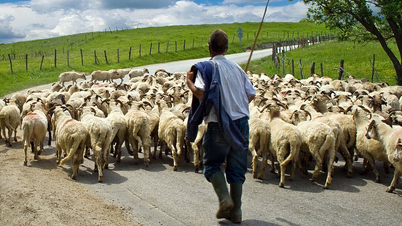 Reportajes emisoras - Granada - Escuela de pastores - Escuchar ahora