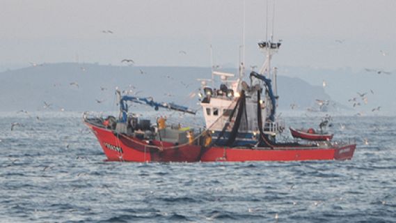 Españoles en la mar