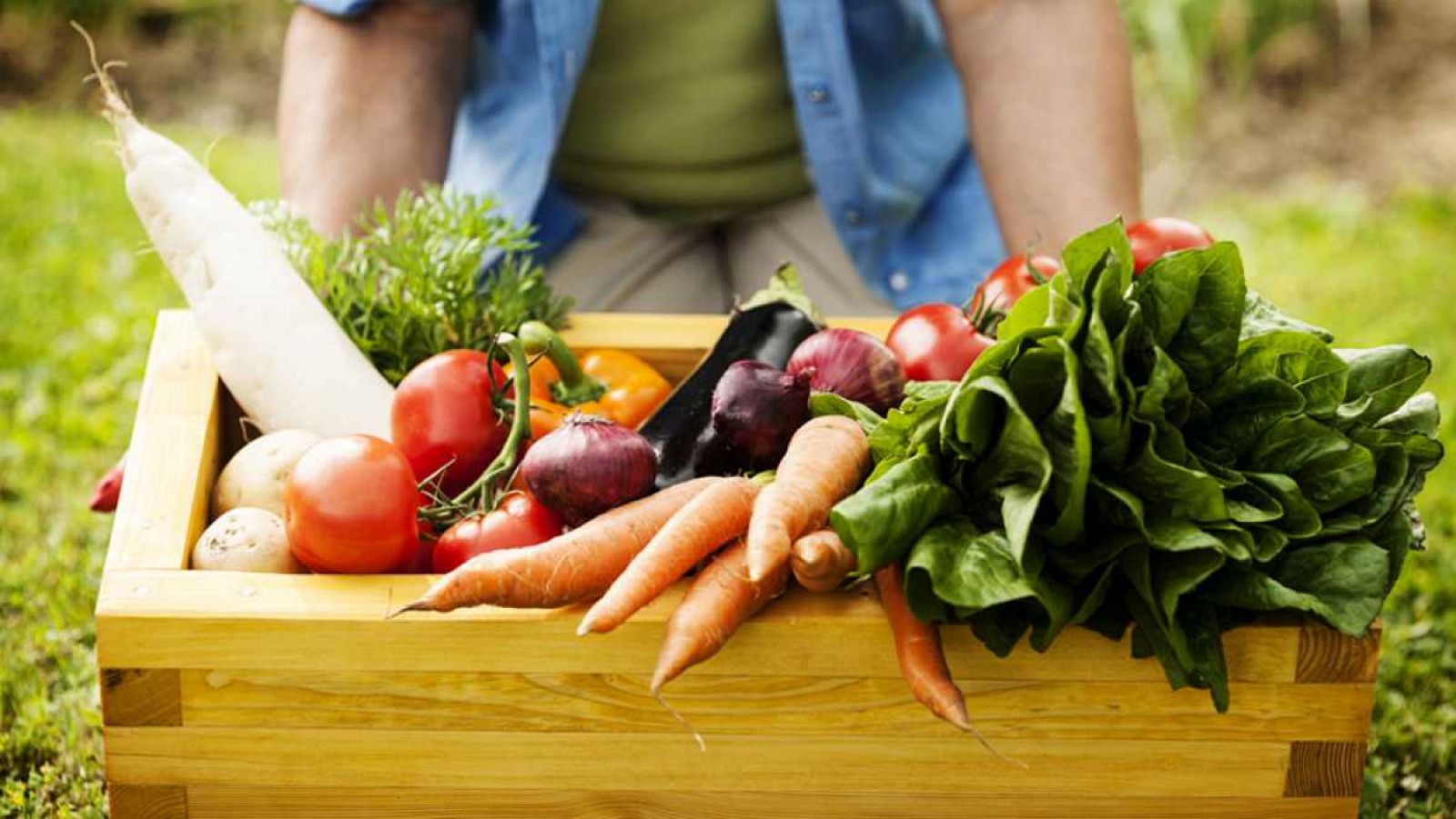  Futuro abierto - Informe de la OMS sobre la relación entre consumo de carne y cáncer - 17/04/16 - escuchar ahora