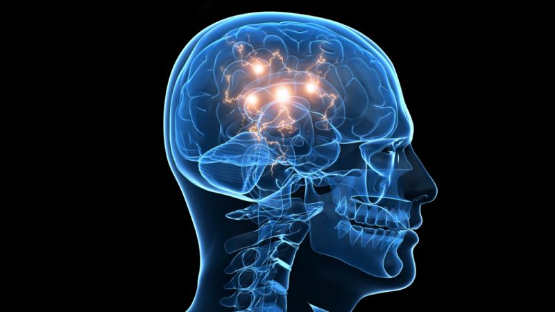 El canto del grillo - 'Cerebroflexia': ¿Cómo ejercitar el cerebro? - Escuchar ahora