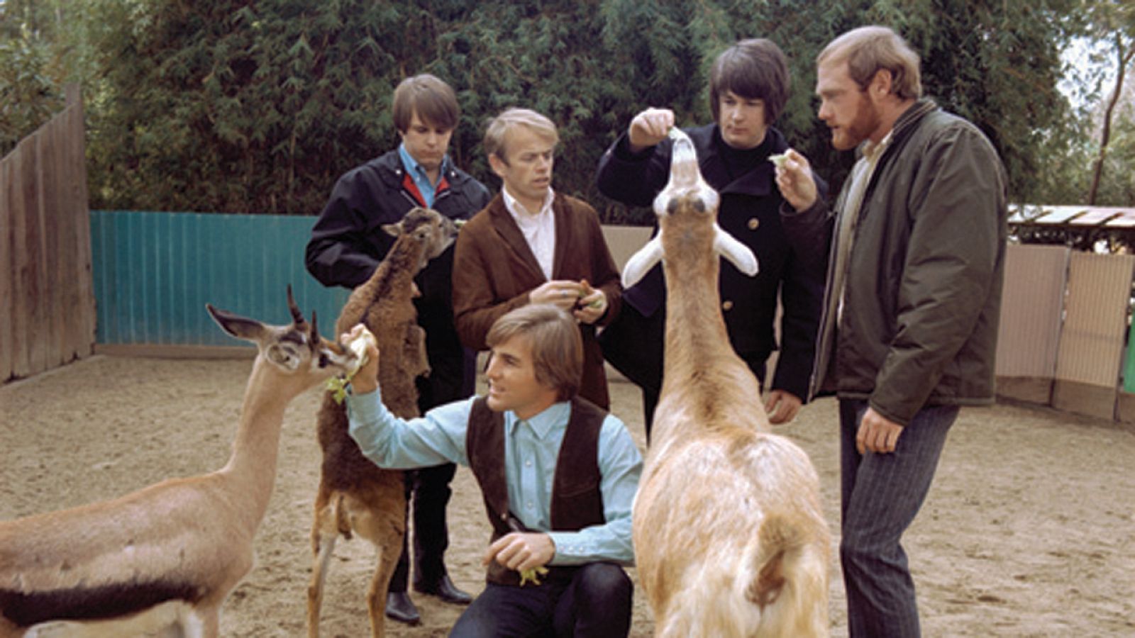  Hoy empieza todo con Ángel Carmona - Het Sounds 4. Sonidos de Mascotas  - 11/05/16