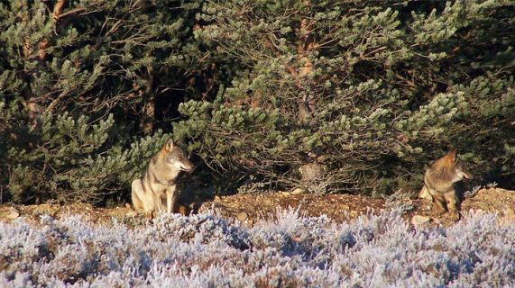 Red Natura 2000 en Radio 5