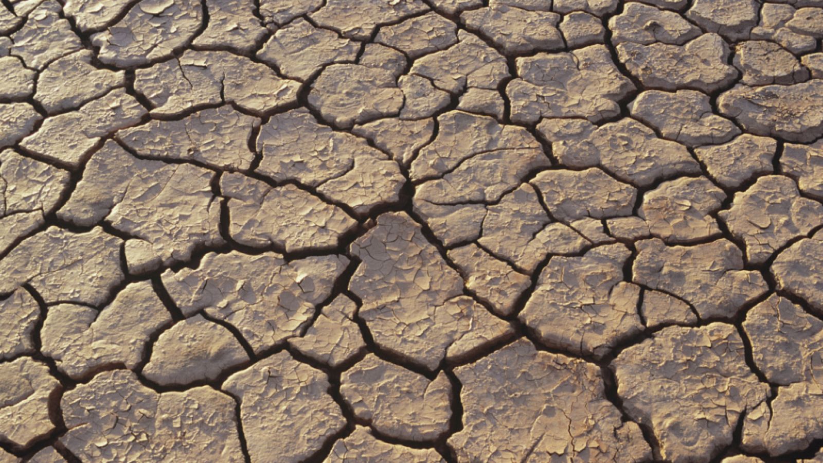 Entre paréntesis - El 20% del territorio español se ha desertificado y el 1% se está degradando - Escuchar ahora