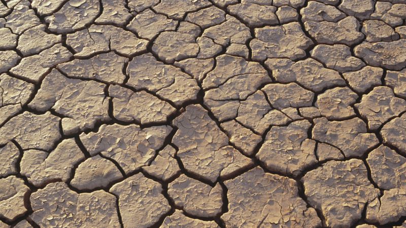 Entre paréntesis - El 20% del territorio español se ha desertificado y el 1% se está degradando - Escuchar ahora