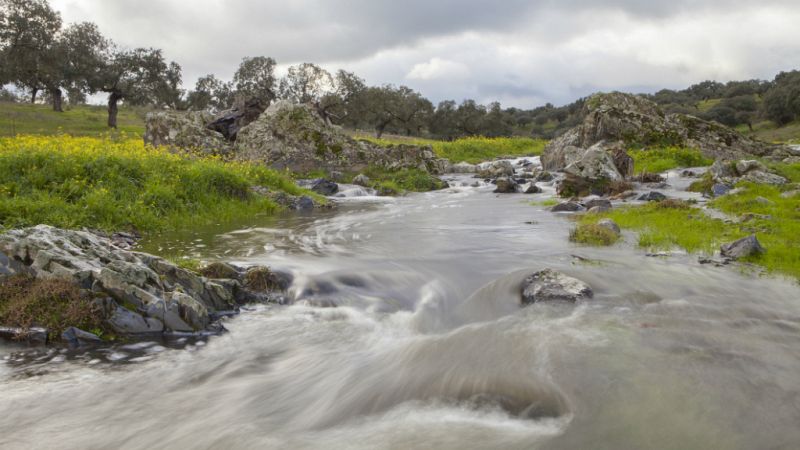 Entre paréntesis - Reserva Natural Fluvial, una figura esencial para la conservación de los ríos - Escuchar ahora