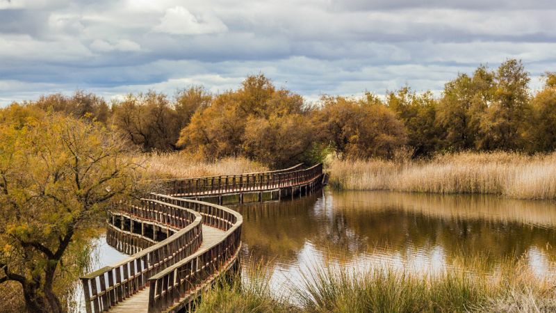 Entre paréntesis - Parque Nacional de las Tablas de Daimiel, uno de los ecosistemas más valiosos de nuestro planeta - Escuchar ahora