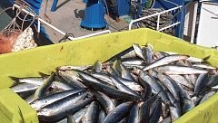 Agro 5 - La pesca es sostenible - 18/6/16