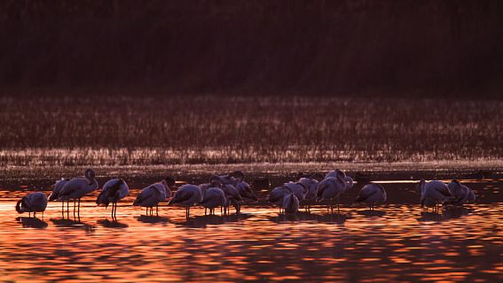 Red Natura 2000 en Radio 5