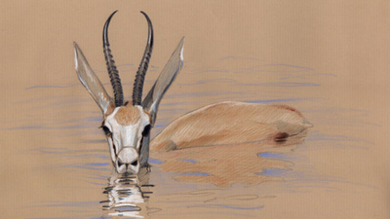 Artesfera - Viajes artísticos al Serengueti - 15/07/16 - Escuchar ahora