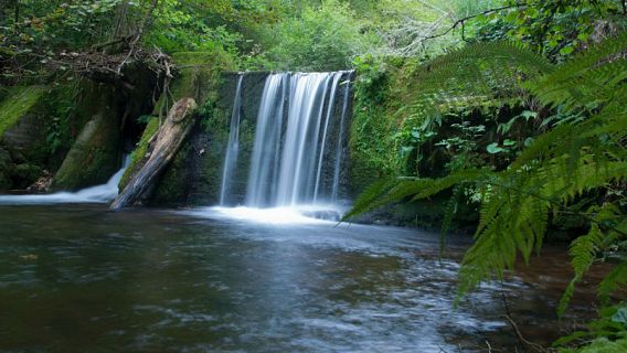 Red Natura 2000 en Radio 5