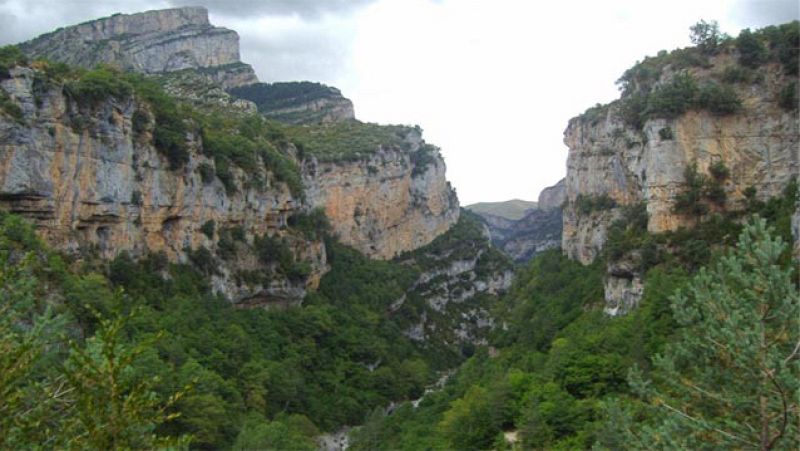  Vida verde - Retiros en la montaña - 04/08/16 - escuchar ahora