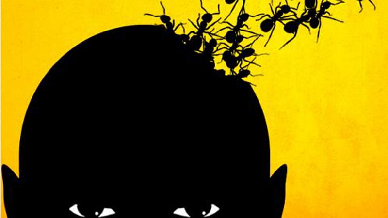 Madrugadas de verano - 'Mi vida entre las hormigas', el documental de Ilegales - Escuchar ahora
