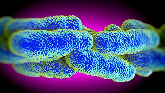 A su salud - A su salud - Legionelosis - 05/09/16 - Escuchar ahora