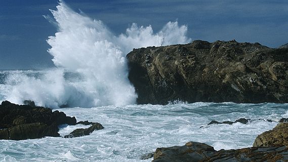 Españoles en la mar