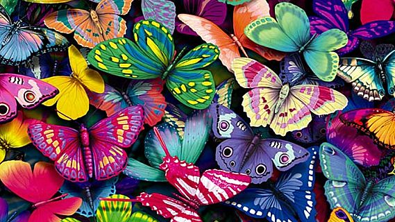 Animales y medio ambiente