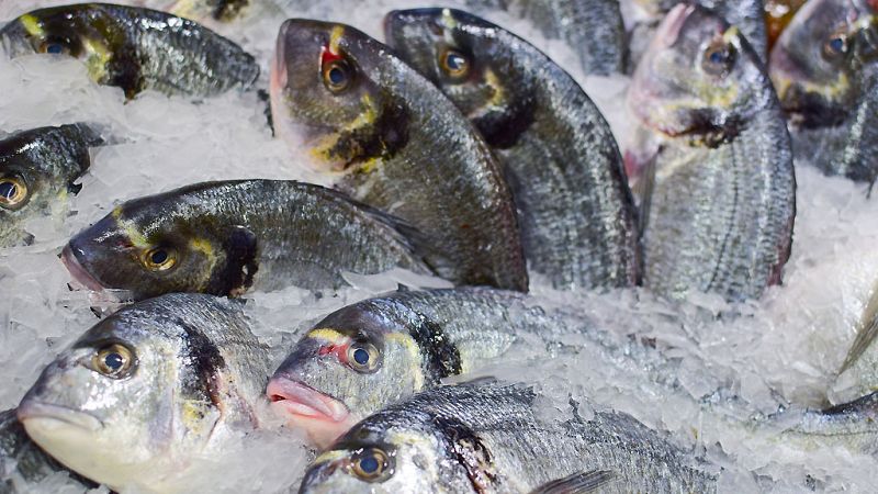 Esto me suena. Las tardes del Ciudadano García - Guía on line para fomenar el consumo responsable de pescado - Escuchar ahora