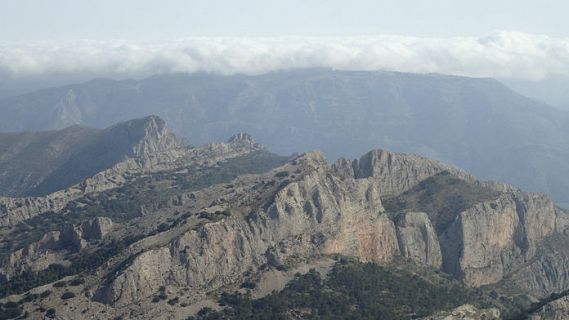 Caminantes