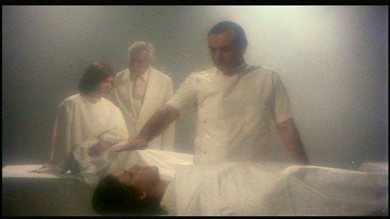 Animales y medio ambiente