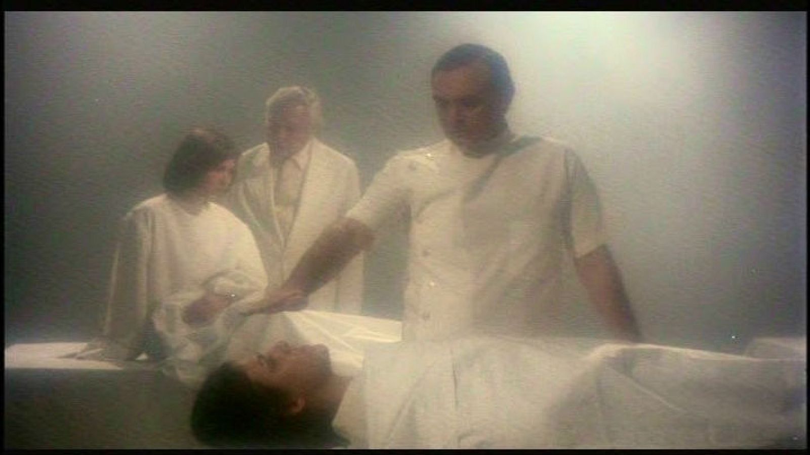 Animales y medio ambiente - Muertes repentinas - 29/10/16 - Escuchar ahora 